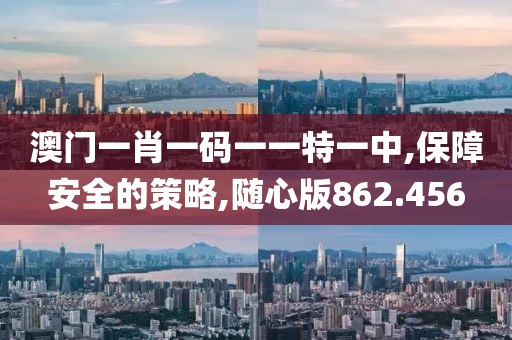 澳門一肖一碼一一特一中,保障安全的策略,隨心版862.456