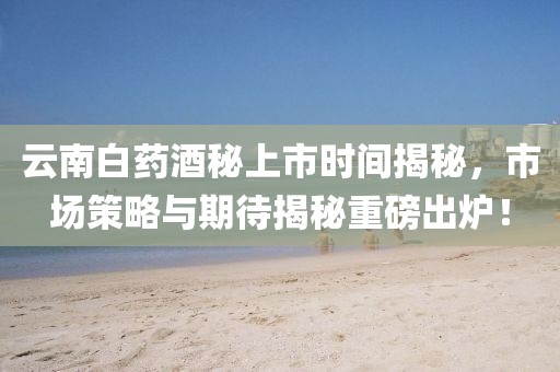 云南白藥酒秘上市時(shí)間揭秘，市場(chǎng)策略與期待揭秘重磅出爐！
