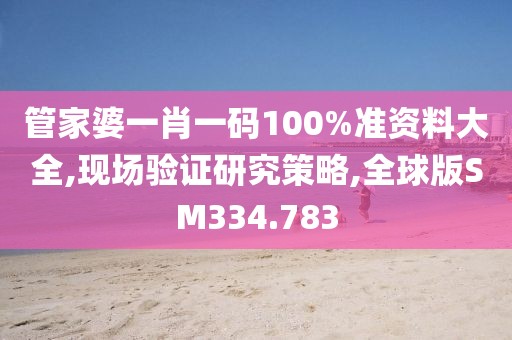 管家婆一肖一碼100%準(zhǔn)資料大全,現(xiàn)場驗(yàn)證研究策略,全球版SM334.783