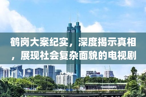 鶴崗大案紀(jì)實(shí)，深度揭示真相，展現(xiàn)社會復(fù)雜面貌的電視劇