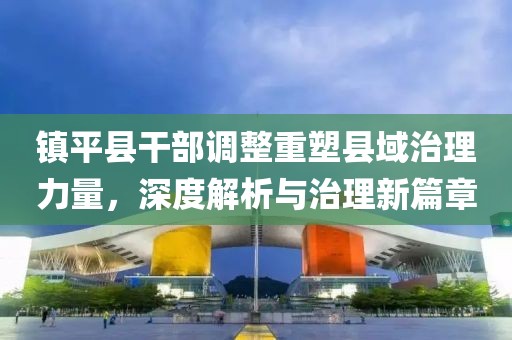 鎮(zhèn)平縣干部調(diào)整重塑縣域治理力量，深度解析與治理新篇章