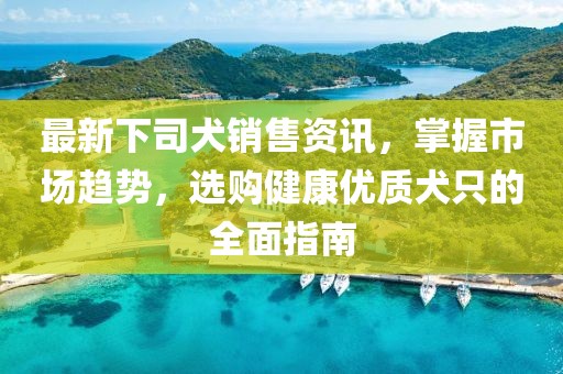 最新下司犬銷售資訊，掌握市場(chǎng)趨勢(shì)，選購(gòu)健康優(yōu)質(zhì)犬只的全面指南
