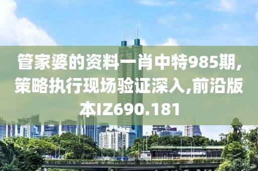 管家婆的資料一肖中特985期,策略執(zhí)行現(xiàn)場(chǎng)驗(yàn)證深入,前沿版本IZ690.181