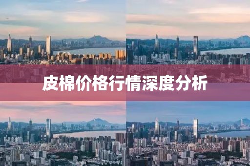 皮棉價(jià)格行情深度分析