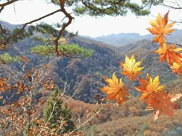 國(guó)產(chǎn)諜戰(zhàn)電影大全，歷史懸疑與藝術(shù)的完美交融