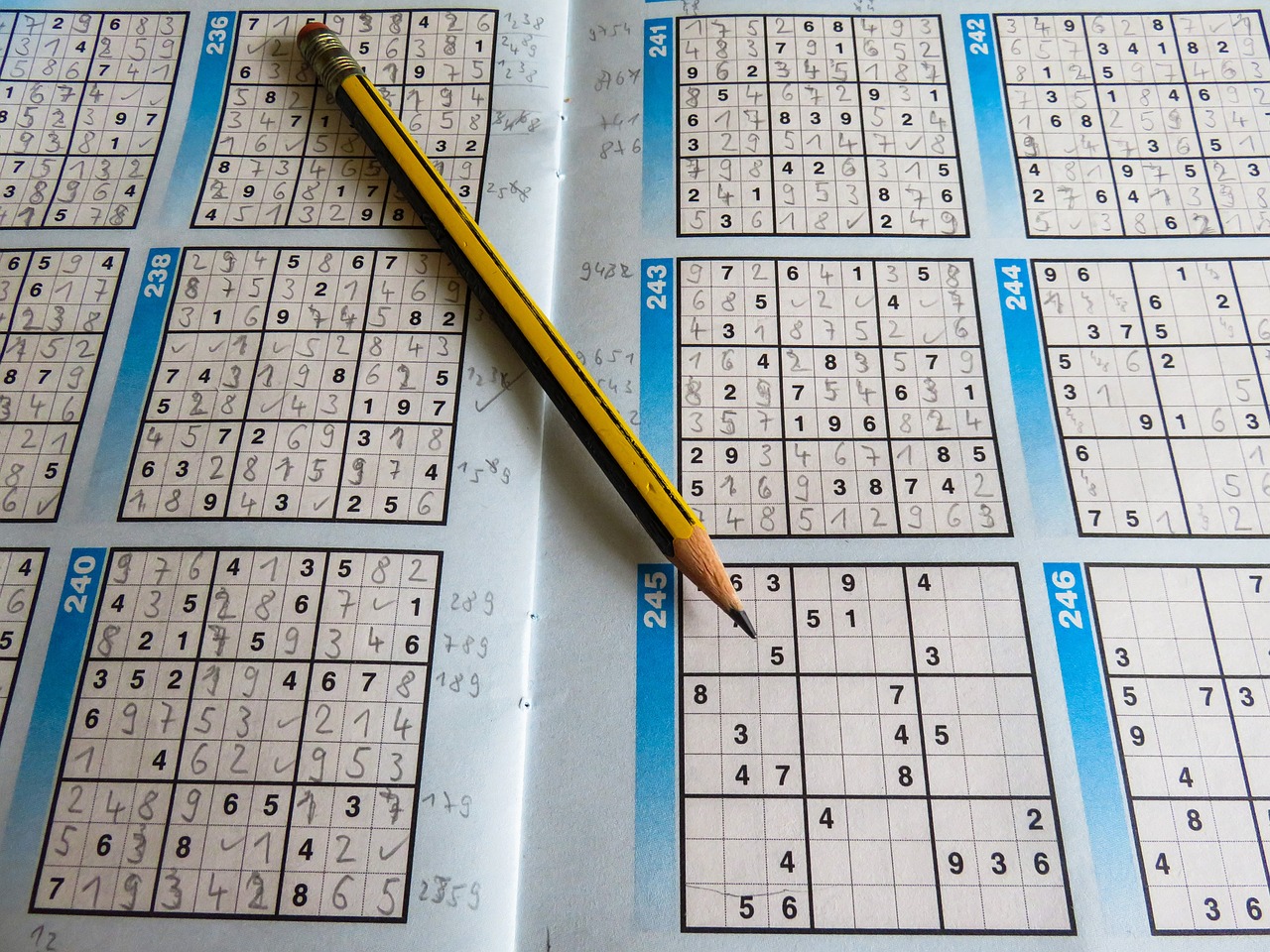 新澳門資料大全正版資料2024年免費(fèi)下載,全身心解答具體，界面版升級(jí)版NC3103.6013