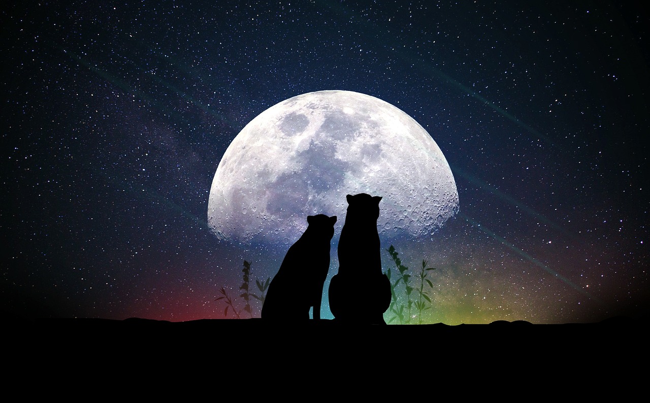 熒屏魅力與影響，明星電視劇的深度探索