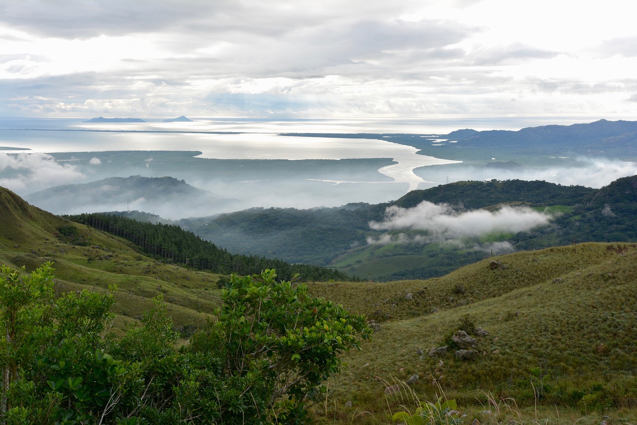 黃瓜最新報(bào)價(jià)與市場(chǎng)動(dòng)態(tài)分析概覽