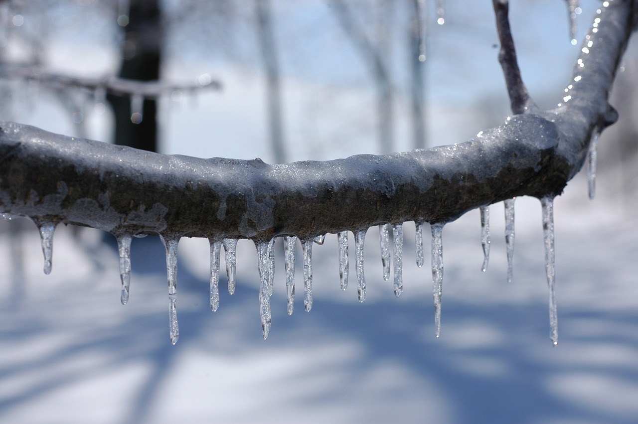 最新暴雪預警發(fā)布，風雪天氣應對策略與準備