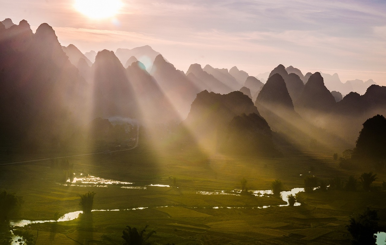 獵場(chǎng)上映時(shí)間揭曉，期待與尋找的交匯點(diǎn)