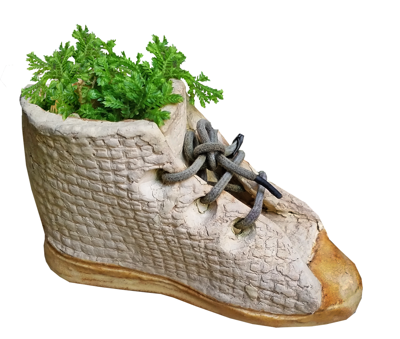 2024年12月 第217頁(yè)