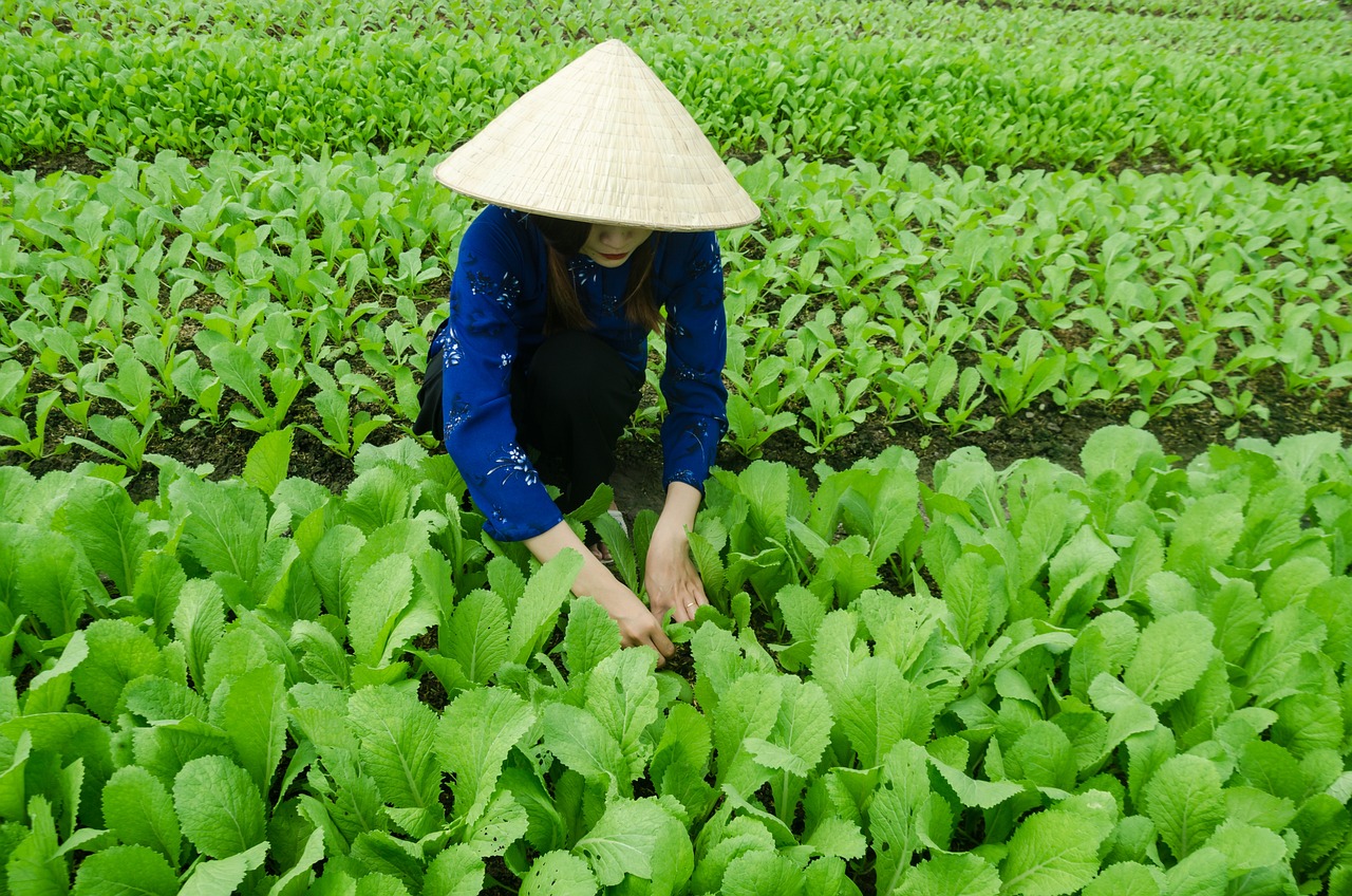 安徽鹽業(yè)改革最新進展動態(tài)