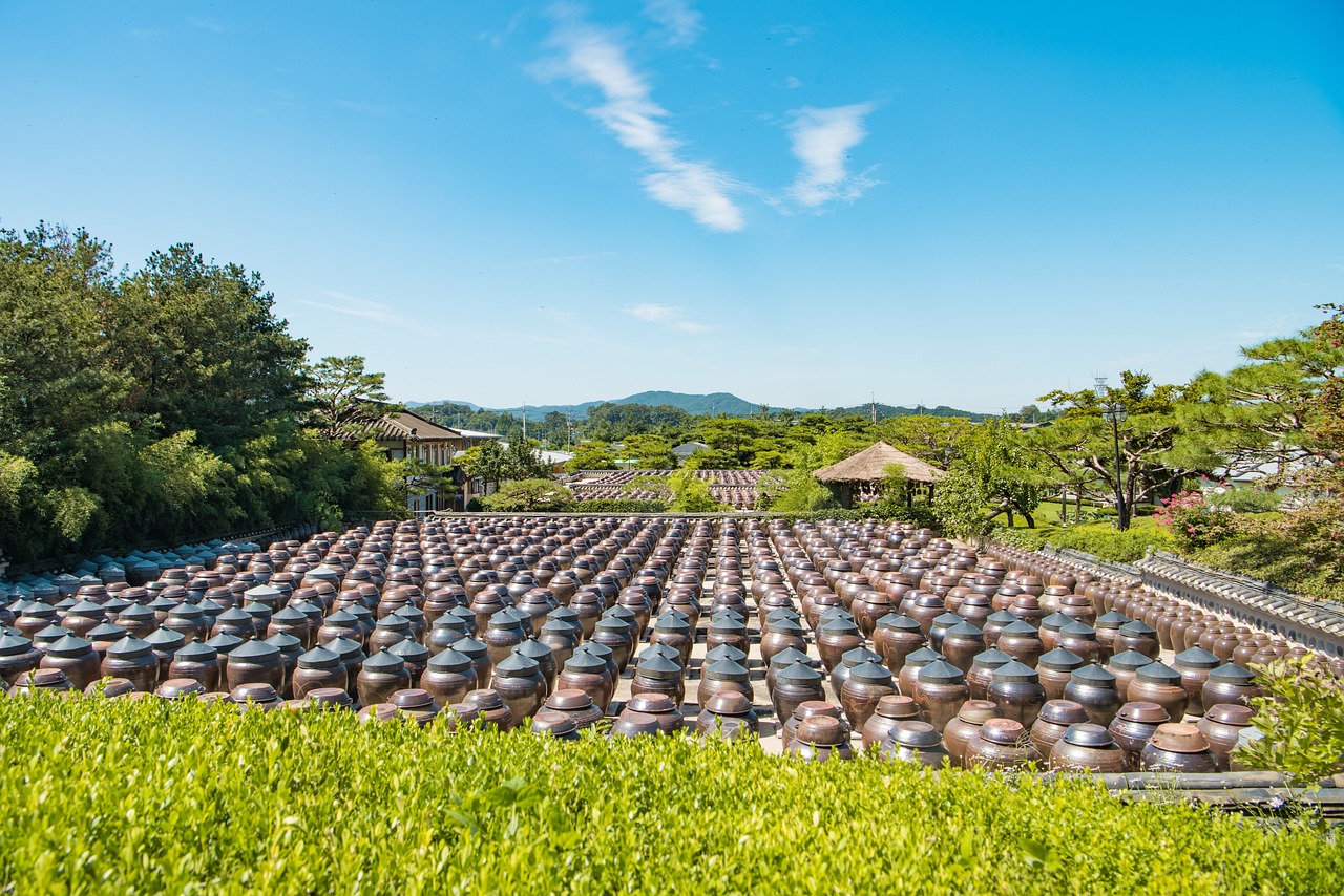 安徽李學(xué)文最新動態(tài)，探索前沿科技，引領(lǐng)未來發(fā)展之路