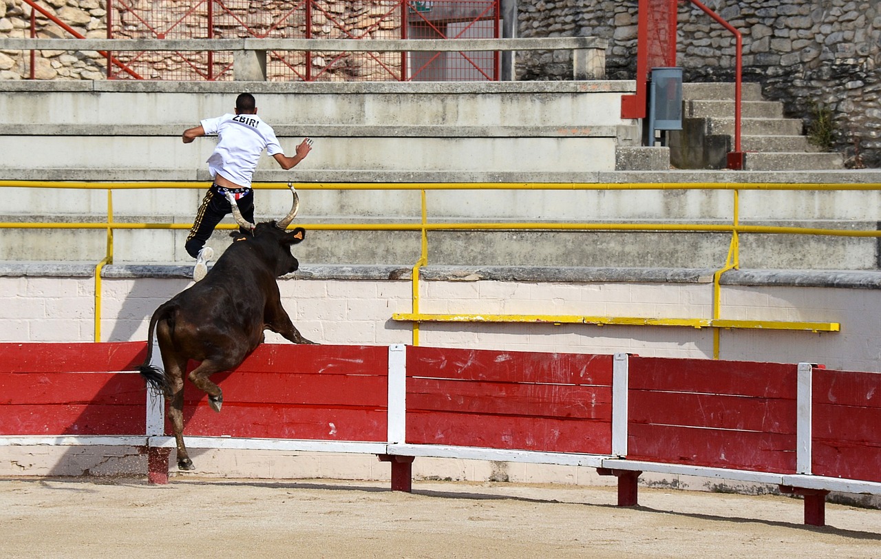 奧運馬術比賽，馬術運動的巔峰競技盛宴