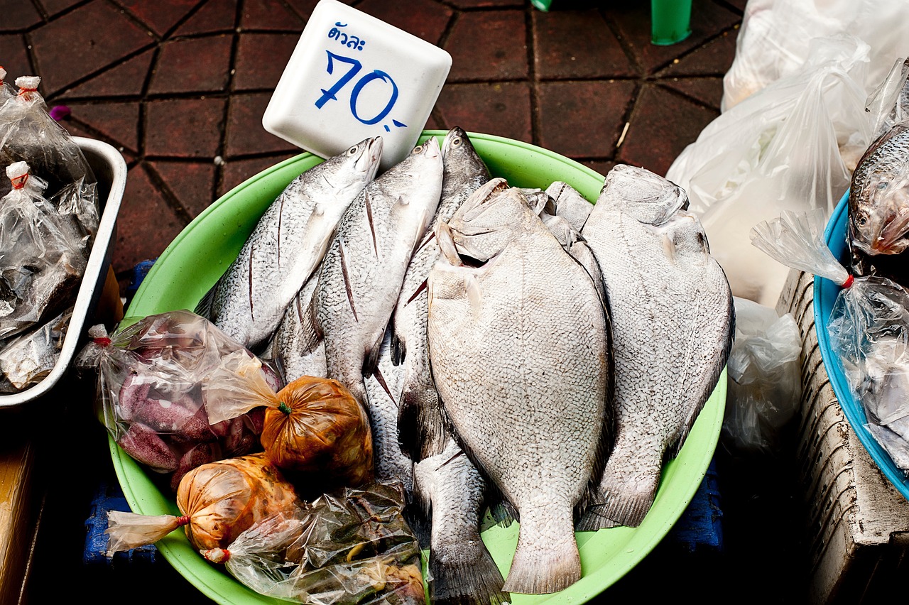 螞蝗市場(chǎng)價(jià)格及其影響因素分析概覽