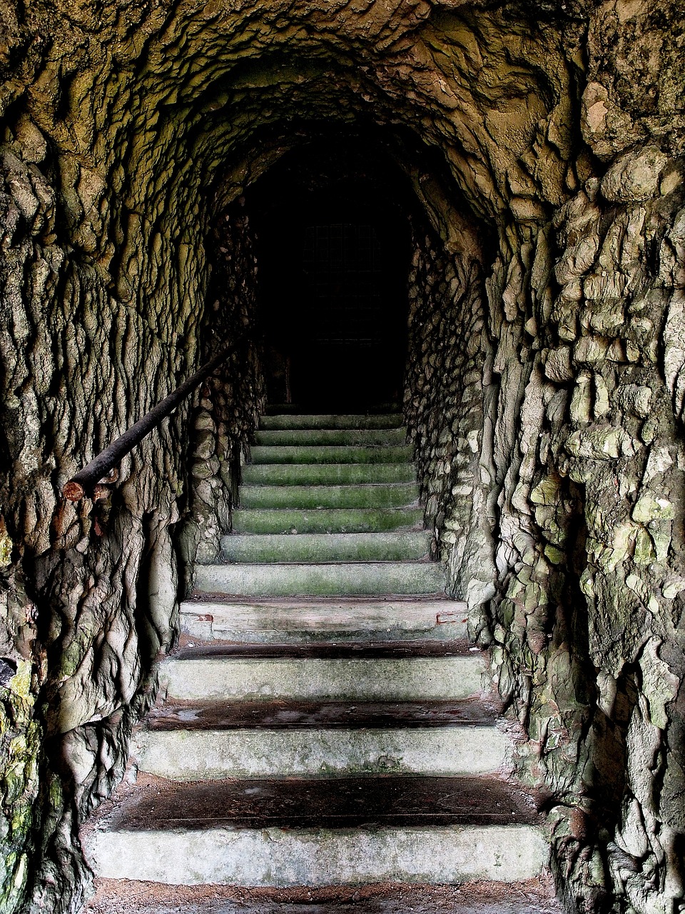 胡惠蓉新動態(tài)，探索無限可能的旅程