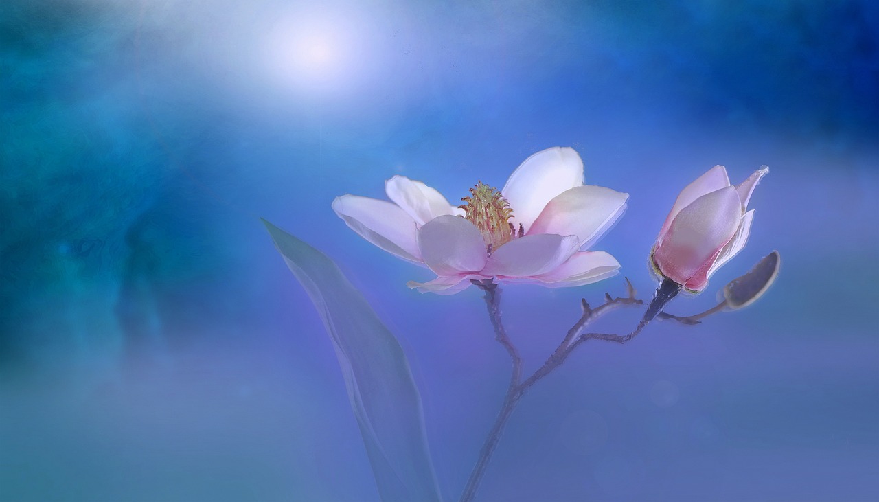 最新七首詩(shī)意作品，探索當(dāng)代詩(shī)歌的迷人魅力