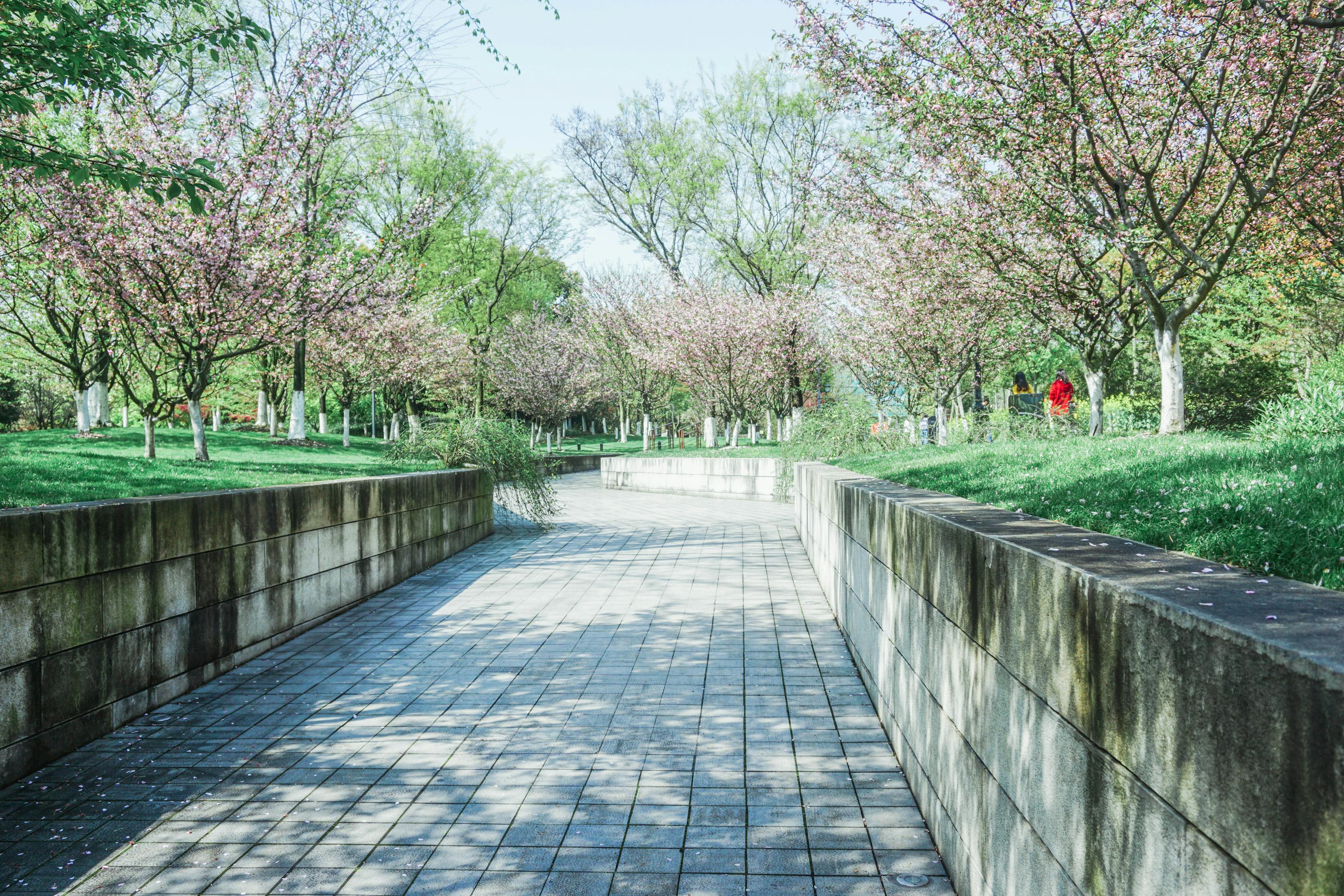 南京上市環(huán)保，綠色發(fā)展的典范之路