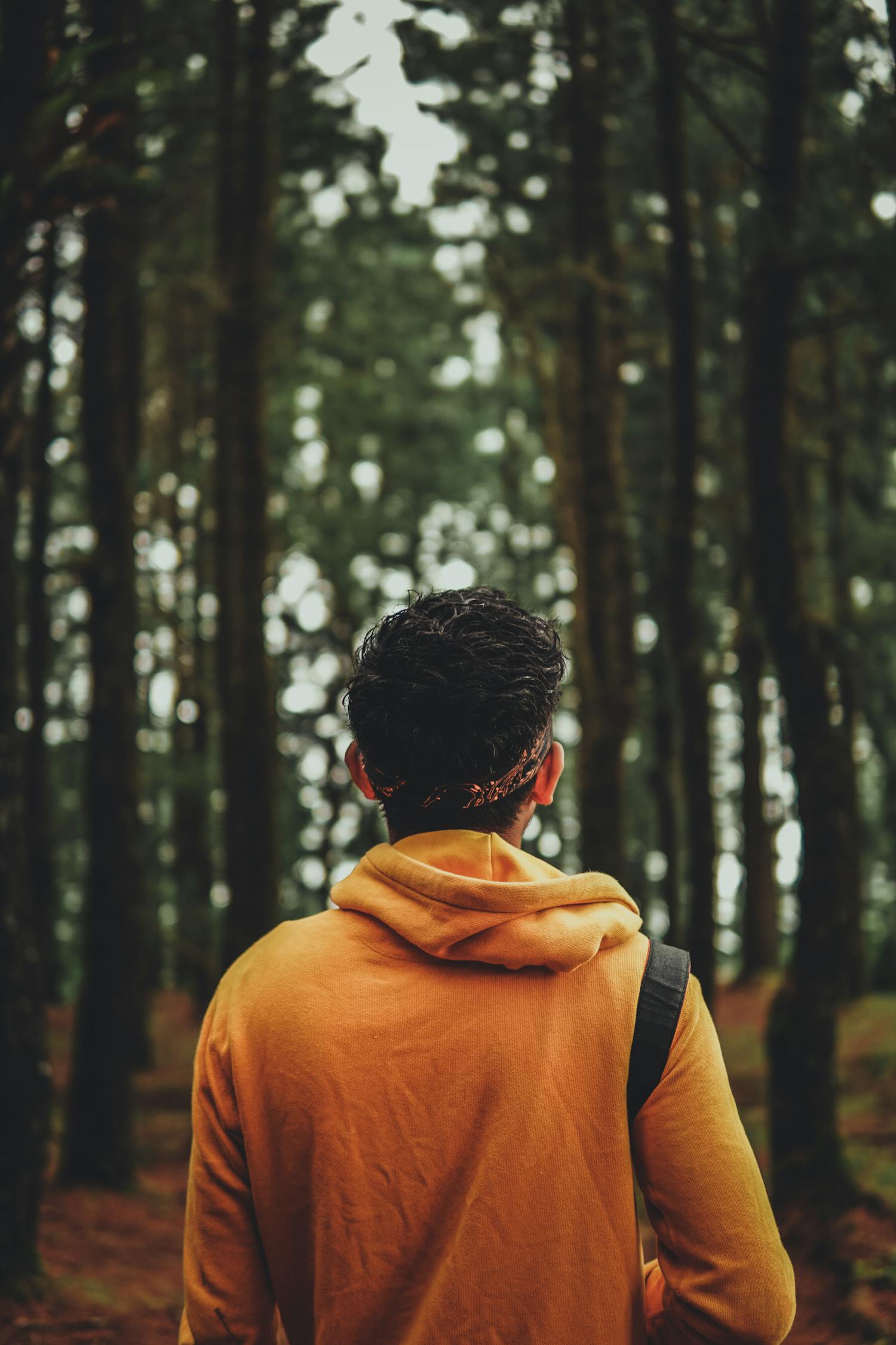 最新男同視頻，探索與理解的視角
