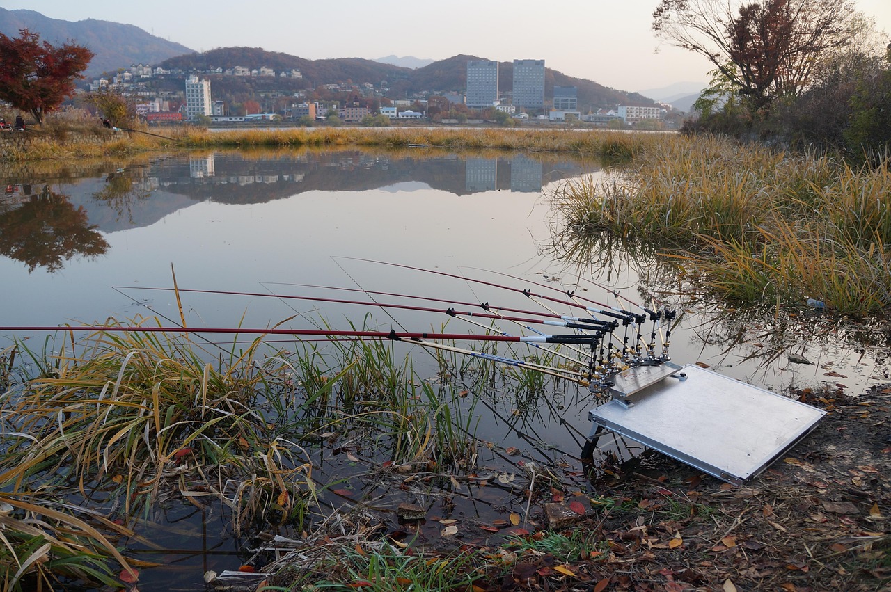 革新釣魚體驗(yàn)，最新釣魚設(shè)備助你提升釣魚樂趣
