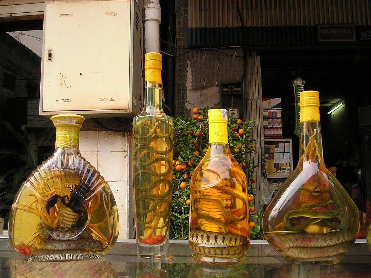 麟州坊酒價(jià)格大全，最新價(jià)格一覽表