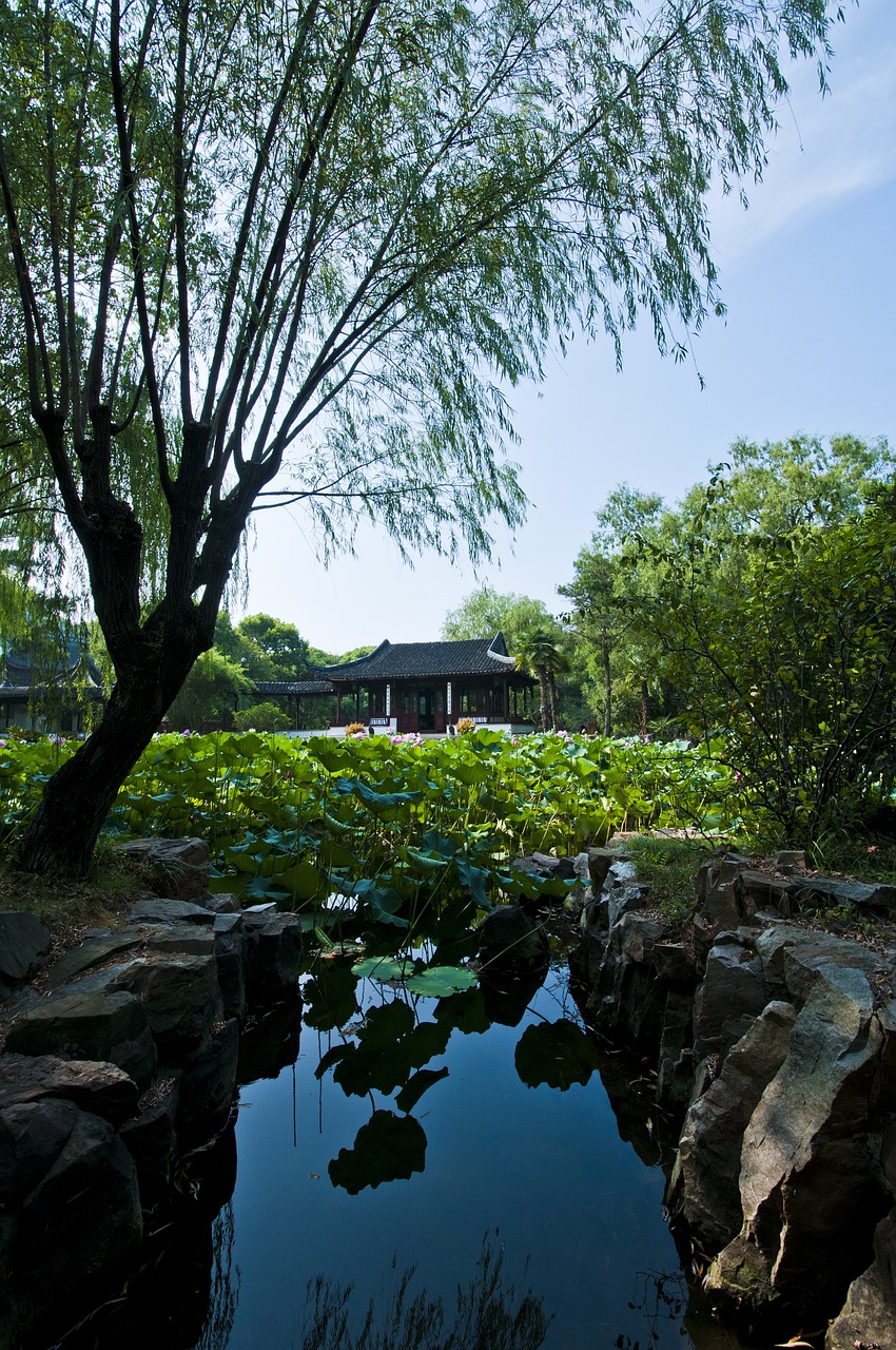 沿江高鐵最新進(jìn)展、影響及未來展望，全線動(dòng)態(tài)速遞消息揭秘！