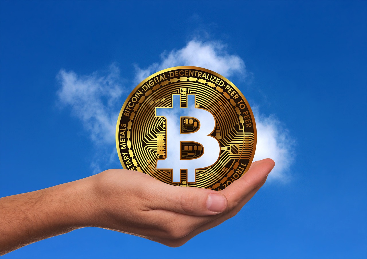河南雞蛋價(jià)格最新行情及分析概述
