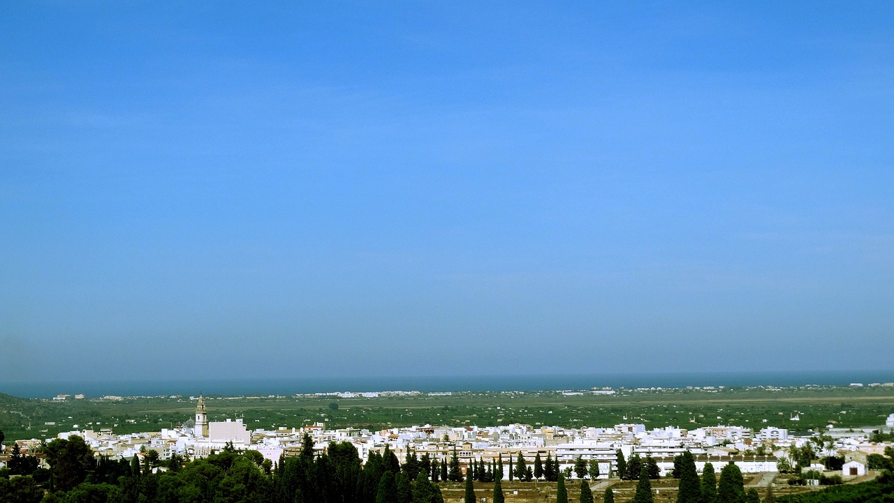 全方位解析期貨市場動(dòng)態(tài)，如何查看期貨價(jià)格行情及市場動(dòng)態(tài)查詢指南