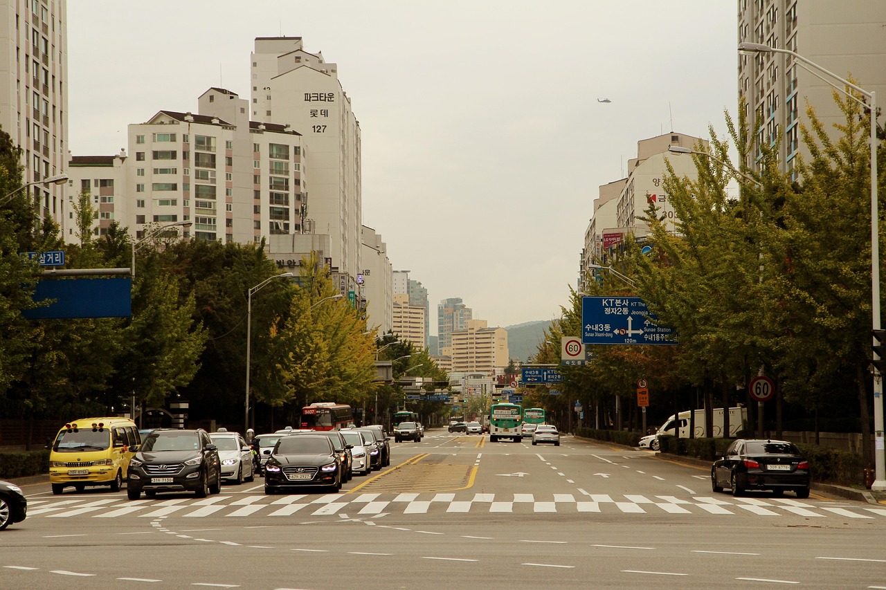 泗陽(yáng)穿城周哲最新動(dòng)態(tài)，探尋城市新脈動(dòng)