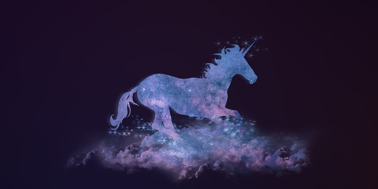 奔明星現(xiàn)象，追逐星光的深度探索